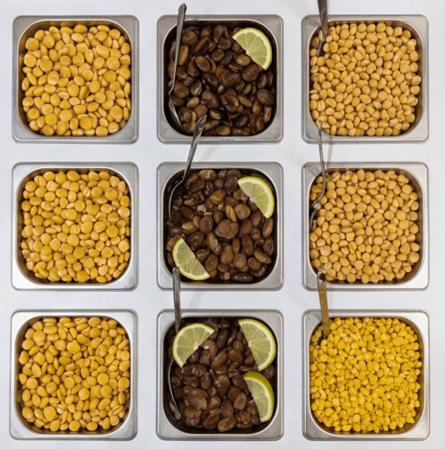 food catering service for events and conferences