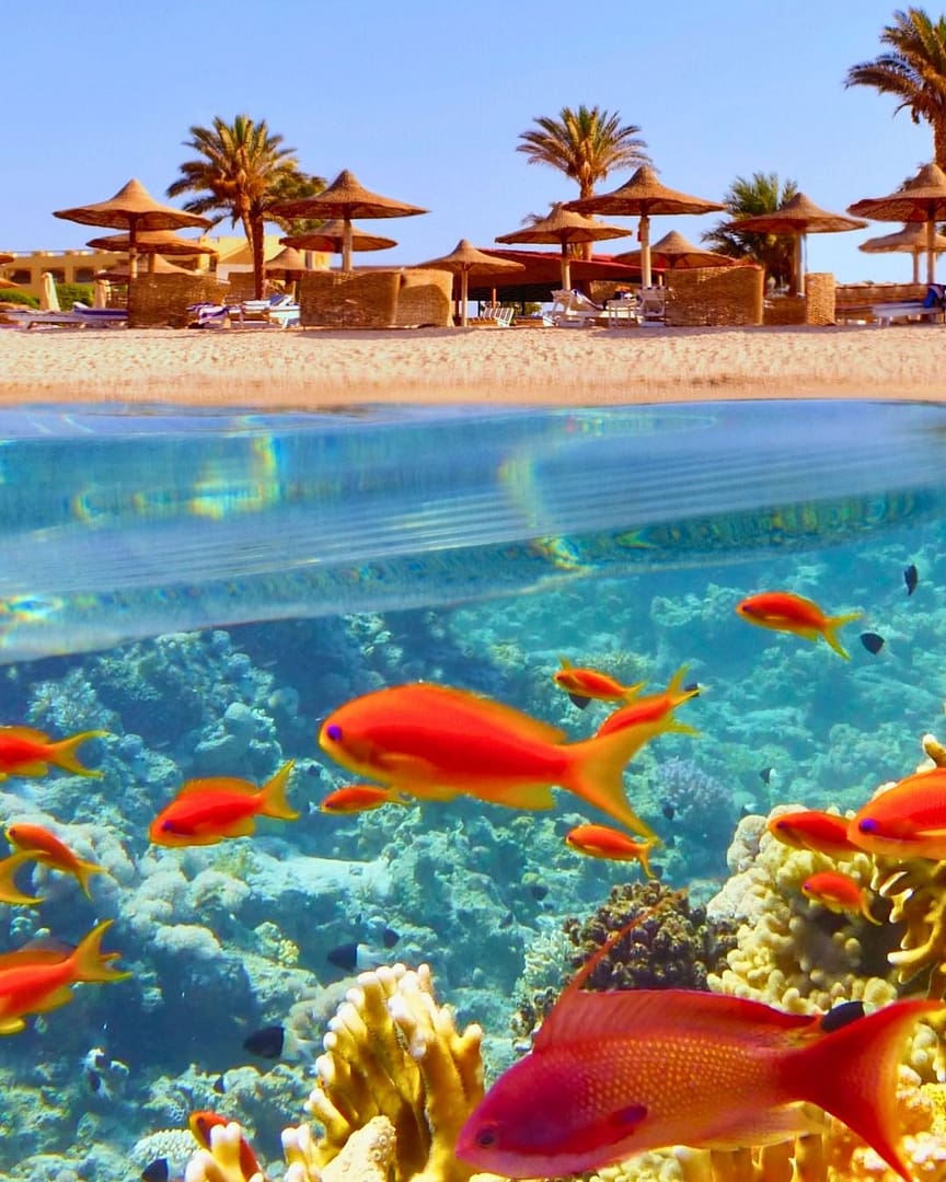 Ras Mohammed National Park, sharm el sheikh, egypt
